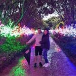 Daniel Cini - @danielcini - Instagram