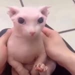 dan - @daniel_cleaver_ - Instagram