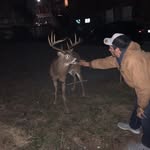 Daniel Clinch - @dale_clinch - Instagram