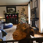 Daniel Cline - @daniel_cline_ - Instagram