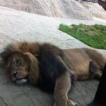 Daniel Clingan - @danielclingan - Instagram