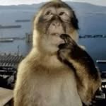 Daniel Cobb - @ze_kewler_daniel - Instagram