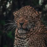 Daniel Coca - @danielcoca9791 - Instagram