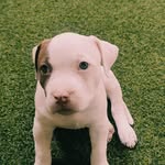 Daniel Coca - @daniel.coca.79219 - Instagram