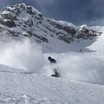 Daniel Cockerall - @danielcockerall - Instagram