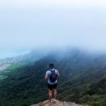 Daniel Nakayama - @danielcockerspaniel - Instagram