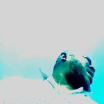 Daniel Coker - @daniel.coker.129 - Instagram