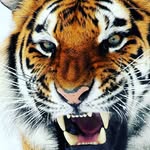 Daniel Colilla - @dani_core05 - Instagram