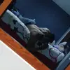 Daniel Colin Lugo - @dan_clug - TikTok