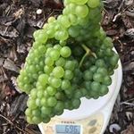 Daniel Collard - @daniel.collard0612 - Instagram