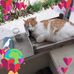 Daniel Gaillard - Facebook