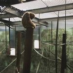 Dan Collett - @daniel.collett - Instagram