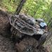 Daniel Collett - Facebook