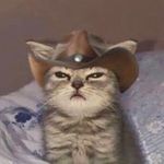 Daniel John Collett - @_daniel_collett_ - Instagram