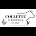 Daniel Collette - Facebook