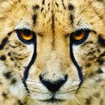 Daniel collier - @_itz_djc_ - Instagram