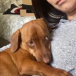 Daniel Colligan - @daniel_colligan - Instagram