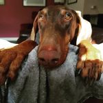 @daniel__collingwood - Instagram