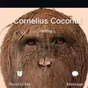 Daniel Collings - @dancollings0 - TikTok