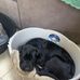 Dan Collinsworth - Facebook