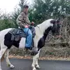 Daniel Collingsworth - @danielcollingswo - TikTok