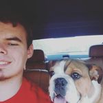 Daniel Collis - @collis33 - Instagram