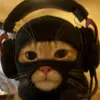 daniel collopy - @daniel.collopy - TikTok