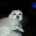 Daniel Collot - Facebook