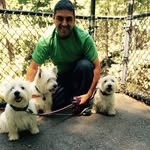 Daniel Colmenero - @westielover_ - Instagram