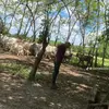 Daniel Colome - @daniel.colome4 - TikTok