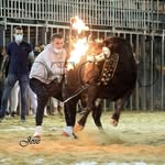 Daniel Colomer Arroyo - @danielcolomer4 - Instagram