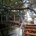 Daniel Colorado - @daniel_colorado - Instagram