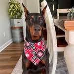 Daniel Colquitt - @colquittdaniel - Instagram