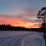 danielcolsson - @danielcolsson - Instagram