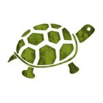 Colton🐢🐢🐢 - @daniel_colton_wildie - Instagram