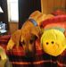 Daniel Colton - Facebook