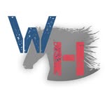 Daniel Colussi - @weekend_horse - Instagram