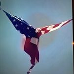 Daniel Colville - @colville_daniel - Instagram