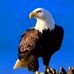 Daniel Coman - Facebook