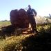 Daniel Combe - Facebook