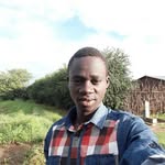 Daniel Comboni - @d.comboni - Instagram
