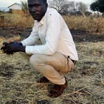 Daniel Comboni - @dcomboni - Instagram