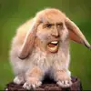 danielcombs - @danielcombs - TikTok