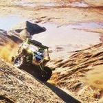 Daniel Comeau - @poules16 - Instagram