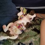 Daniel Comeau - @kronic57dan - Instagram