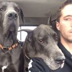 Daniel Comeau - @danmelcom - Instagram