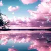 Danielle Comeau - @danielle.comeau8 - TikTok