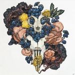 Daniel Comstock - @ardyexfor - Instagram