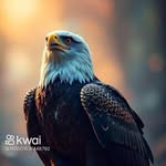 Daniel Conceição - @orochidan33 - Instagram