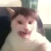 Daniel Conchas - @chaneque978 - TikTok